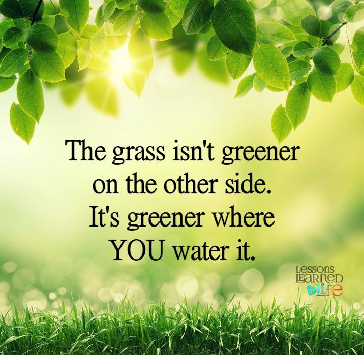 grass greener