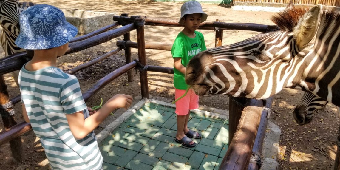 Batang Dolphin Center